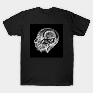 Ecorche no skin face T-Shirt